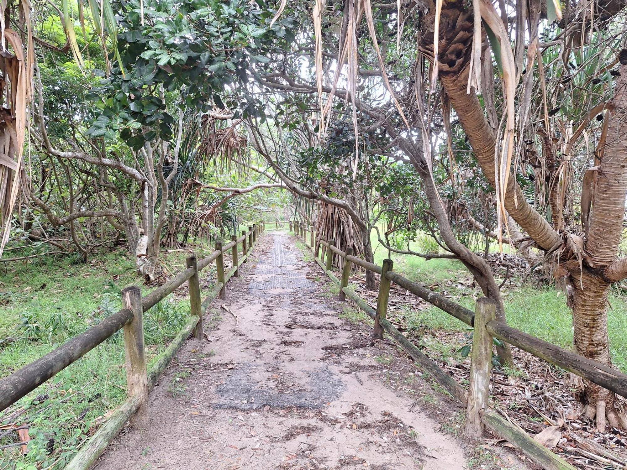 Ballina Beach Nature Resort Ngoại thất bức ảnh